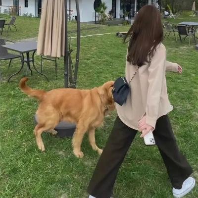 白色堡垒
